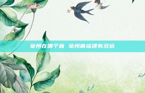 亳州在哪个省 亳州离福建有多远