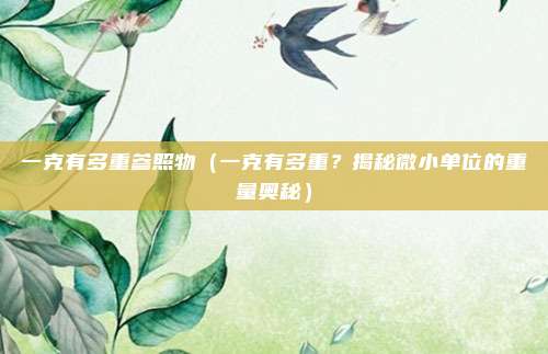 一克有多重参照物(一克有多重?揭秘微小单位的重量奥秘)