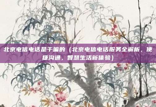 北京电信电话是干嘛的(北京电信电话服务全解析,便捷沟通,智慧生活新体验)