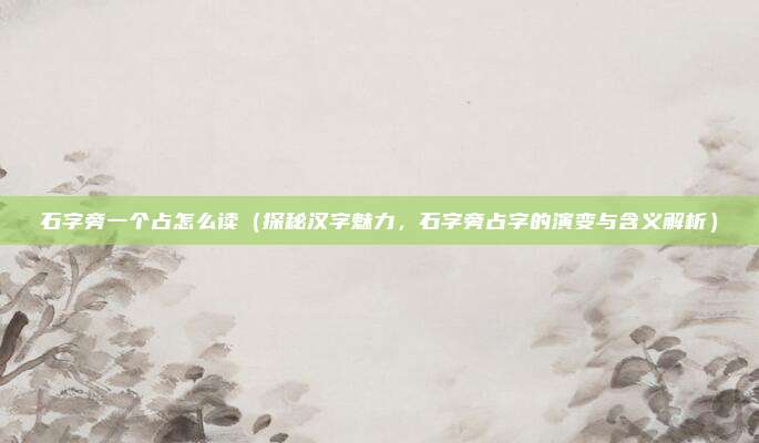 石字旁一个占怎么读(探秘汉字魅力,石字旁占字的演变与含义解析)