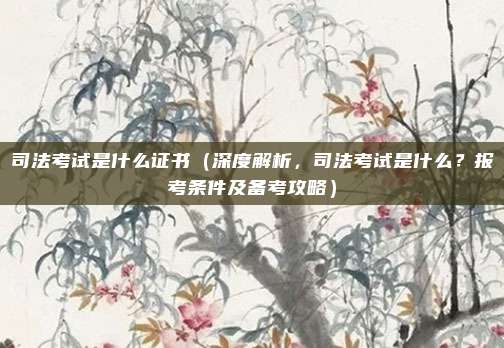 司法考试是什么证书(深度解析,司法考试是什么?报考条件及备考攻略)