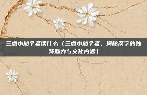 三点水加个者读什么(三点水加个者,揭秘汉字的独特魅力与文化内涵)