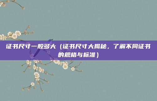 证书尺寸一般多大(证书尺寸大揭秘,了解不同证书的规格与标准)