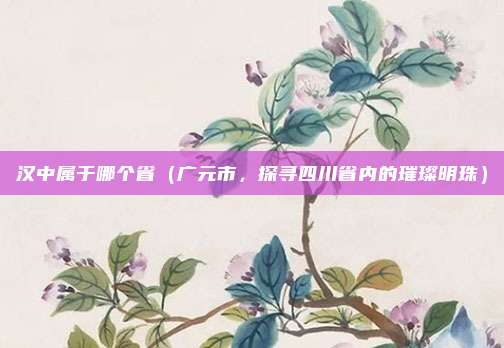 汉中属于哪个省(广元市,探寻四川省内的璀璨明珠)
