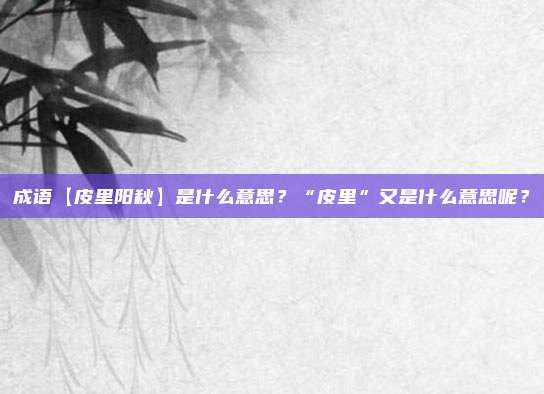 成语【皮里阳秋】是什么意思？“皮里”又是什么意思呢？