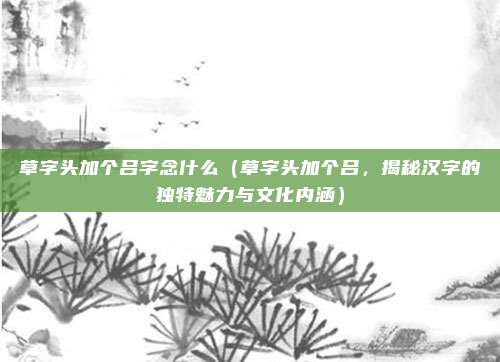 草字头加个吕字念什么(草字头加个吕,揭秘汉字的独特魅力与文化内涵)