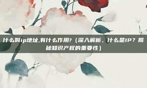 什么叫ip地址,有什么作用?(深入解析,什么是IP?揭秘知识产权的重要性)
