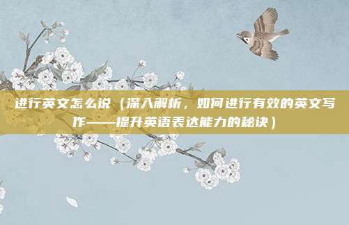进行英文怎么说(深入解析,如何进行有效的英文写作——提升英语表达能力的秘诀)