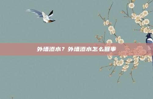 外墙渗水?外墙渗水怎么回事