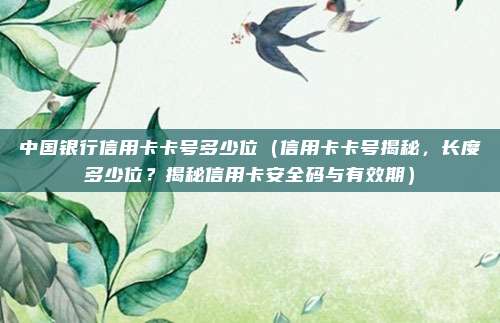 中国银行信用卡卡号多少位(信用卡卡号揭秘,长度多少位?揭秘信用卡安全码与有效期)