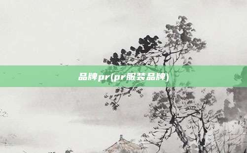 品牌pr(pr服装品牌)