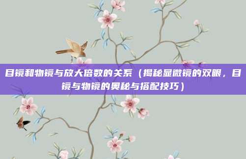 目镜和物镜与放大倍数的关系(揭秘显微镜的双眼,目镜与物镜的奥秘与搭配技巧)