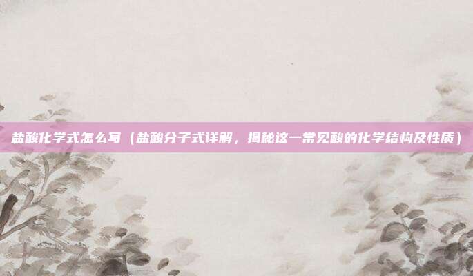 盐酸化学式怎么写（盐酸分子式详解，揭秘这一常见酸的化学结构及性质）