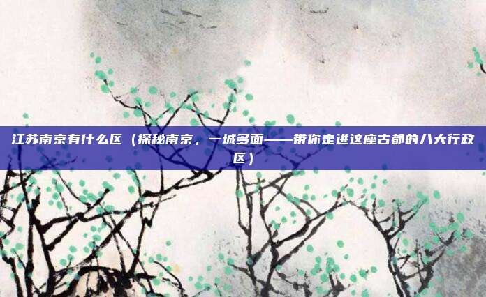江苏南京有什么区（探秘南京，一城多面——带你走进这座古都的八大行政区）