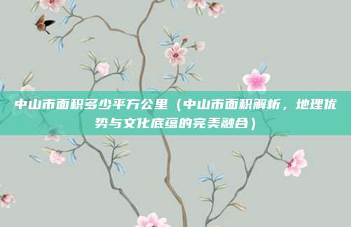 中山市面积多少平方公里(中山市面积解析,地理优势与文化底蕴的完美融合)