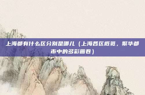 上海都有什么区分别是哪儿（上海各区概览，繁华都市中的多彩画卷）