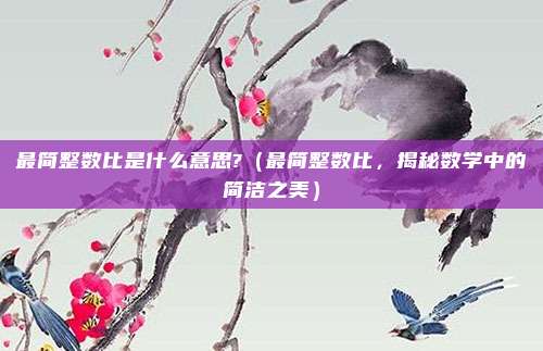 最简整数比是什么意思?（最简整数比，揭秘数学中的简洁之美）