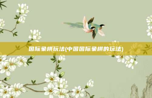 国际象棋玩法(中国国际象棋的玩法)