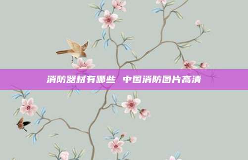 消防器材有哪些 中国消防图片高清