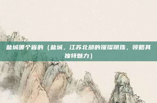 盐城哪个省的(盐城,江苏北部的璀璨明珠,领略其独特魅力)
