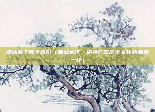 潮汕属于哪个省份(潮汕地区,探寻广东历史文化的重要一环)