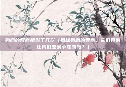 鹦鹉的智商相当于几岁(揭秘鹦鹉的智商,它们真的比我们想象中聪明吗?)