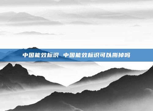 中国能效标识 中国能效标识可以撕掉吗
