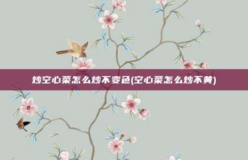 炒空心菜怎么炒不变色(空心菜怎么炒不黄)