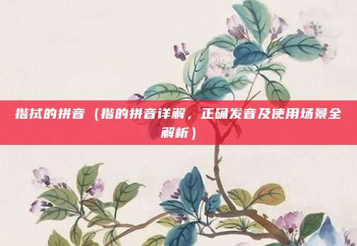 揩拭的拼音(揩的拼音详解,正确发音及使用场景全解析)