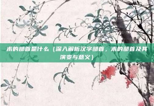 术的部首是什么(深入解析汉字部首,术的部首及其演变与意义)