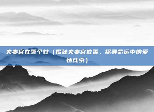 夫妻宫在哪个柱(揭秘夫妻宫位置,探寻命运中的爱情线索)