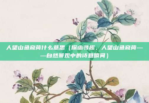 人望山鱼窥荷什么意思(探幽寻趣,人望山鱼窥荷——自然景观中的诗意瞬间)