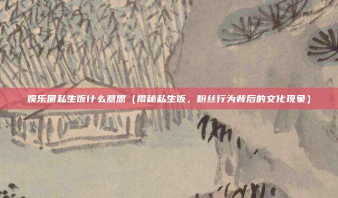 娱乐圈私生饭什么意思(揭秘私生饭,粉丝行为背后的文化现象)