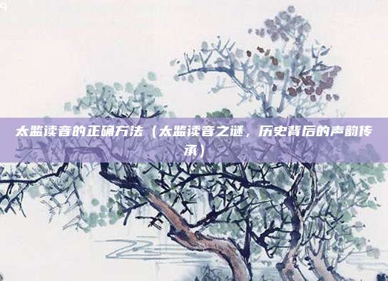 太监读音的正确方法(太监读音之谜,历史背后的声韵传承)