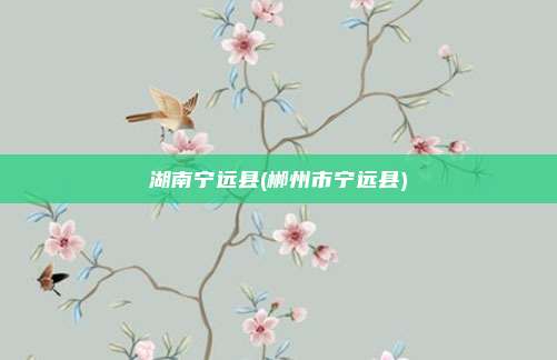 湖南宁远县(郴州市宁远县)