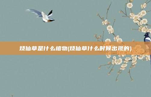 烧仙草是什么植物(烧仙草什么时候出现的)