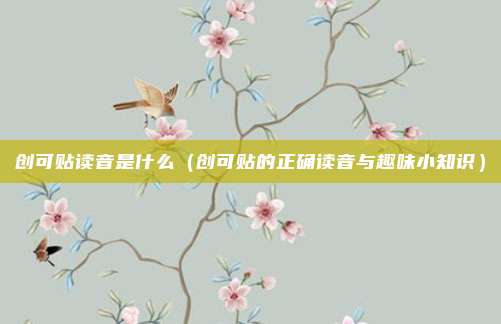 创可贴读音是什么(创可贴的正确读音与趣味小知识)
