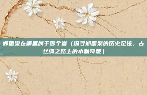 郑国渠在哪里属于哪个省（探寻郑国渠的历史足迹，古丝绸之路上的水利奇观）