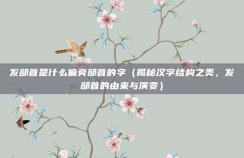 发部首是什么偏旁部首的字(揭秘汉字结构之美,发部首的由来与演变)