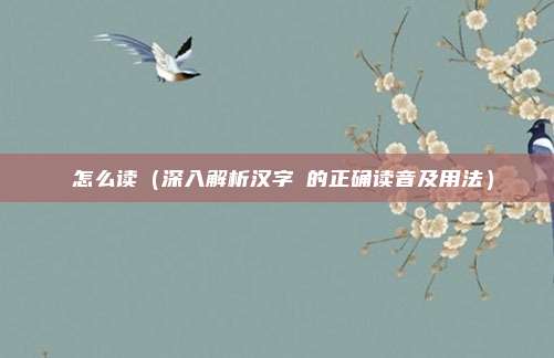 軏怎么读(深入解析汉字輗的正确读音及用法)