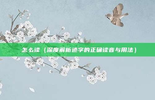 蹟怎么读(深度解析迹字的正确读音与用法)