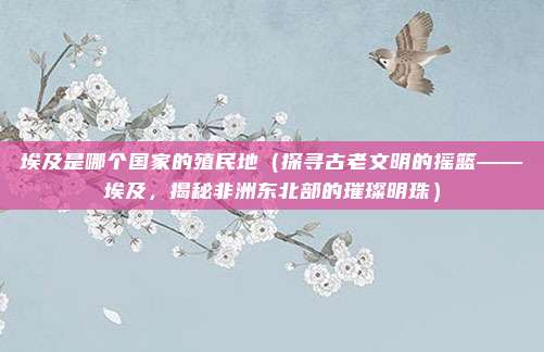 埃及是哪个国家的殖民地(探寻古老文明的摇篮——埃及,揭秘非洲东北部的璀璨明珠)