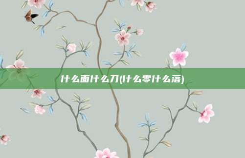 什么面什么刀(什么零什么落)