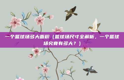 一个篮球场多大面积(篮球场尺寸全解析,一个篮球场究竟有多大?)