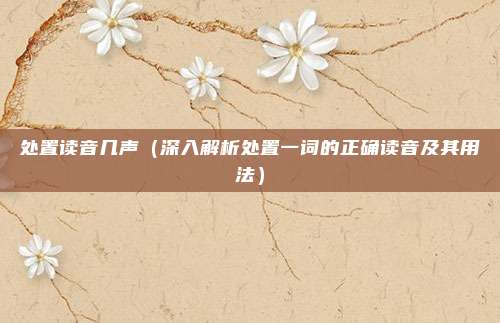 处置读音几声(深入解析处置一词的正确读音及其用法)