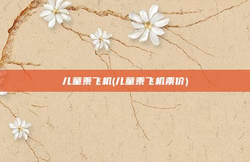 儿童乘飞机(儿童乘飞机票价)