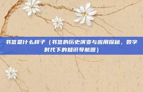 书签是什么样子(书签的历史演变与应用探秘,数字时代下的知识导航器)