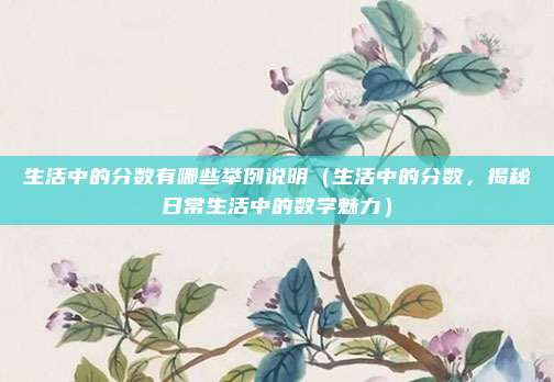 生活中的分数有哪些举例说明(生活中的分数,揭秘日常生活中的数学魅力)