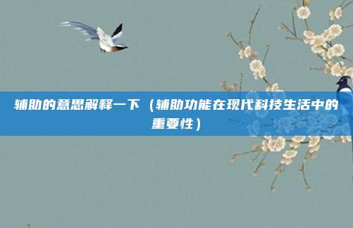 辅助的意思解释一下(辅助功能在现代科技生活中的重要性)