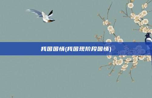我国国情(我国现阶段国情)